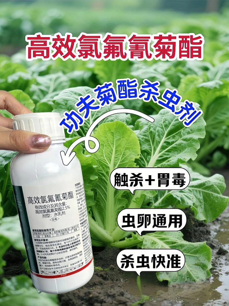 阜新代生中心:农药对供卵代生妈妈的危害